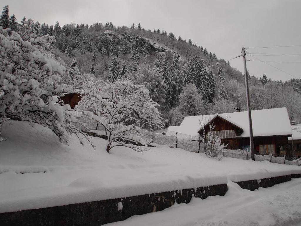 Hotel Simmental Boltigen Εξωτερικό φωτογραφία